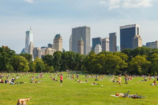 Classic Tour 4 Big Stops. With stories about the park from your guide