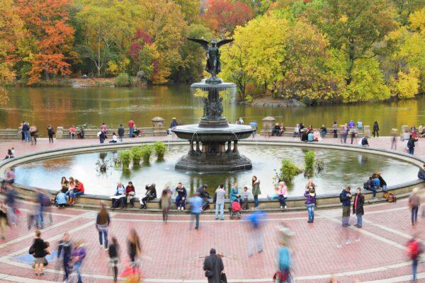 Classic Tour 4 Big Stops. With stories about the park from your guide