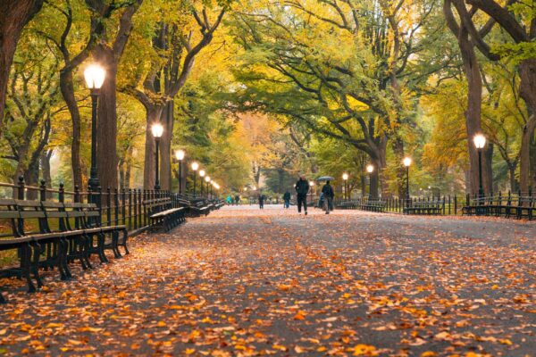 Classic Tour 4 Big Stops. With stories about the park from your guide