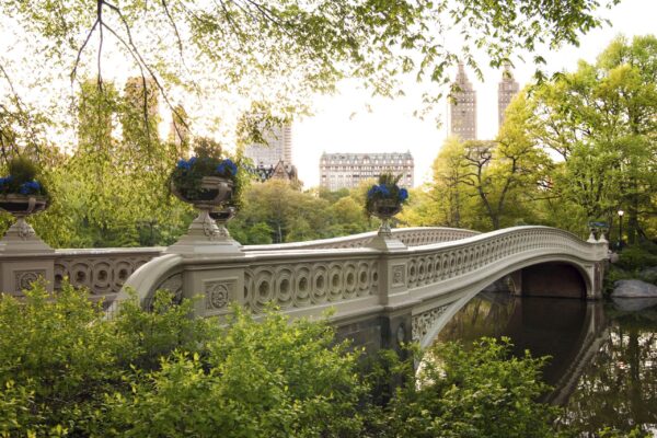 Classic Tour 4 Big Stops. With stories about the park from your guide