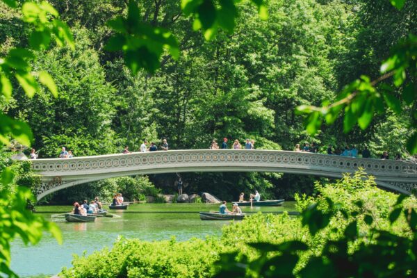 Elite Tour 11 Big Stops. With stories about the park from your guide