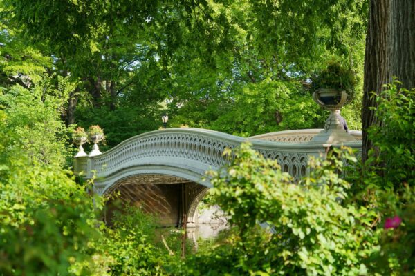 Basic Tour No Stops. With stories about the park from your guide