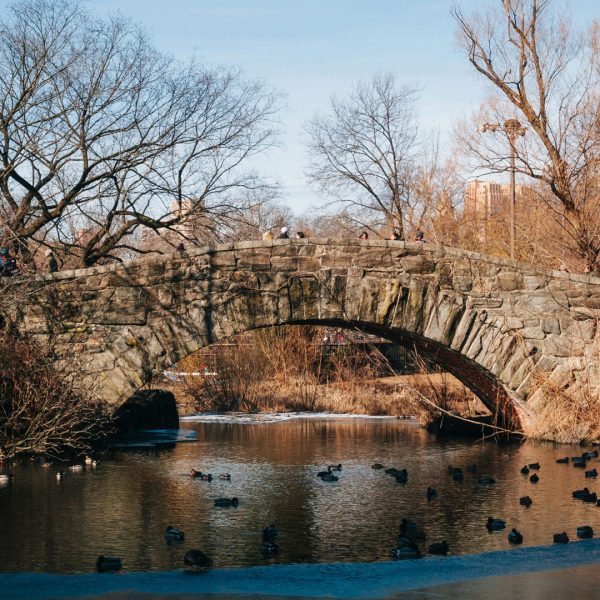 central park tour